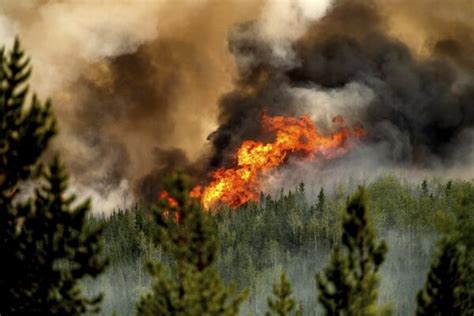 Record-breaking wildfire season will continue to burn hot for months: officials